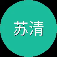 苏清辞正