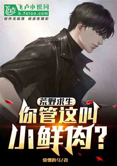 荒野之我的弹幕能提现