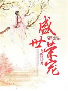 盛世荣宠之商女为后