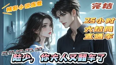 陆少又又又皮了