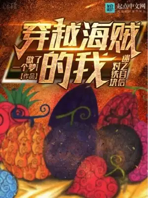 穿越海贼的我对铁块迷之自信