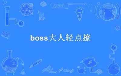 boss大人轻点撩