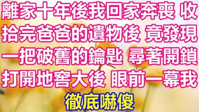 夫人离家十年后回来了